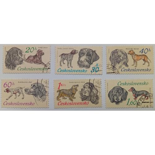 Чехословакия 1973 Охотничьи собаки, гашеные