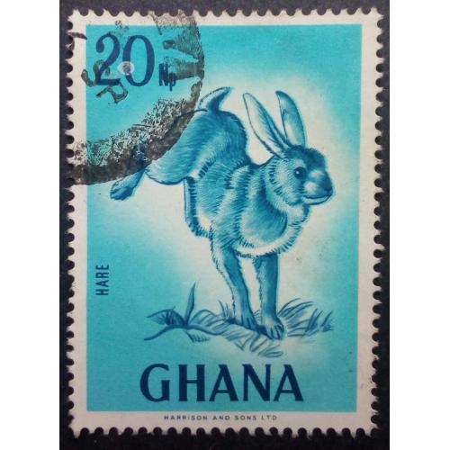Гана 1967 Заяц, фауна, гашеная(I)