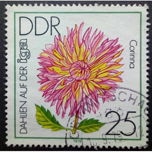 ГДР 1979 Цветы 25 Pfg, гашеная
