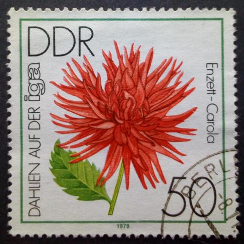 ГДР 1979 Цветы 50 Pfg, гашеная