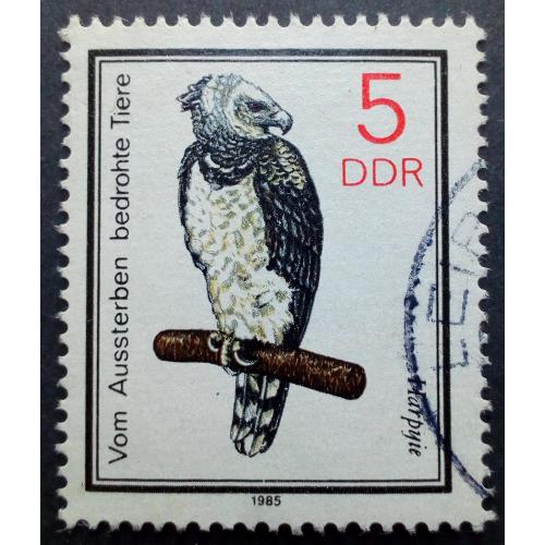 ГДР 1985 Птицы, орел, из серии, гашеная