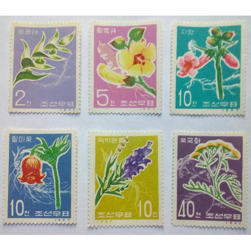 КНДР Северная Корея 1967 Цветы, MH (КЦ=11 евро) (редкие)
