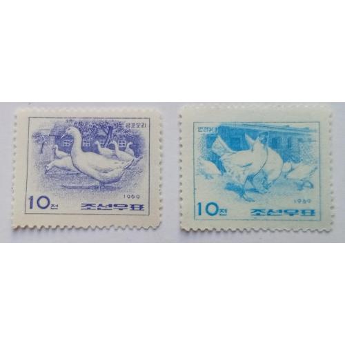 КНДР Северная Корея 1969 Птицы, куры, гуси, MH (КЦ=6,5 евро)