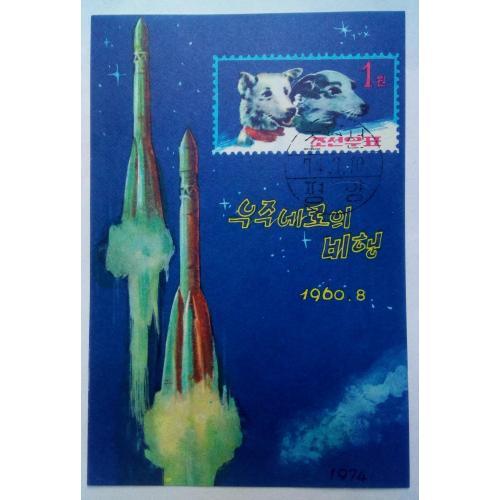 КНДР Северная Корея 1974 День космонавтики, блок, гашеный
