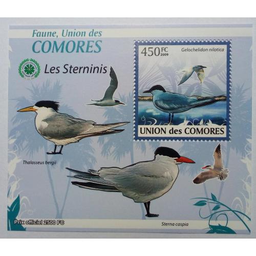 Коморские острова, Коморы 2009 Птицы, морская фауна, блок, MNH (КЦ=11 евро)(III)