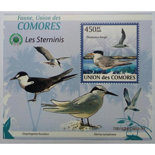 Коморские острова, Коморы 2009 Птицы, морская фауна, блок, MNH (КЦ=11 евро)(IV)