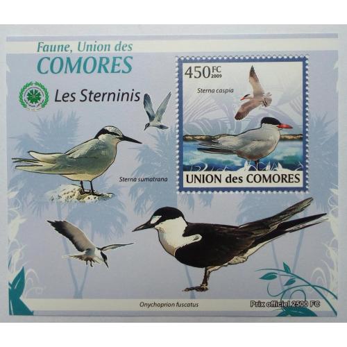 Коморские острова, Коморы 2009 Птицы, морская фауна, блок, MNH (КЦ=11 евро)