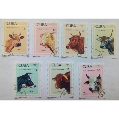 Куба 1973 Коровы, быки, фауна, гашеные
