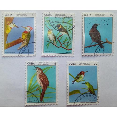 Куба 1977 Птицы, фауна, гашеные