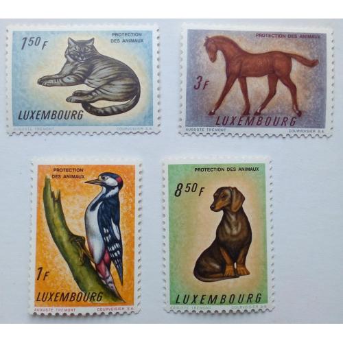 Люксембург 1961 Животные, коты, собаки, лошади, фауна, MNH