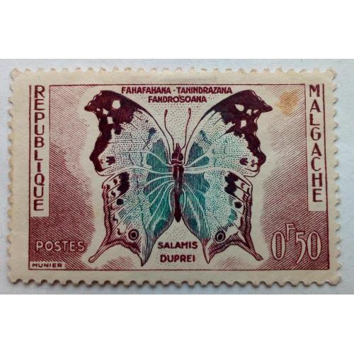 Мадагаскар 1960 Бабочка, 0,50С, MLH