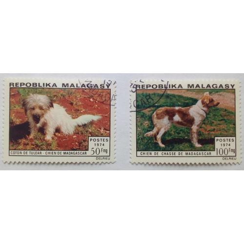 Мадагаскар 1974 Собаки, гашеные (КЦ=1,6 евро)