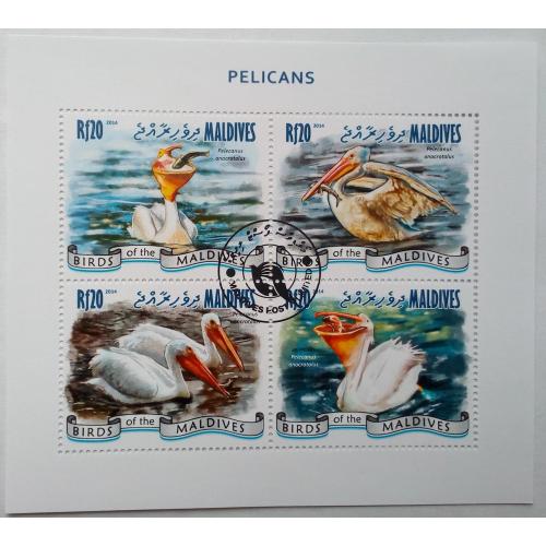 Мальдивы 2014 Пеликаны, морская фауна, блок