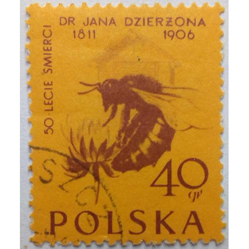 Польша 1956 Ян Дзержон, пчела, гашеная