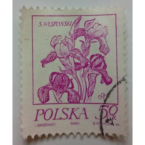 Польша 1974 Цветы, 50Gr, гашеная