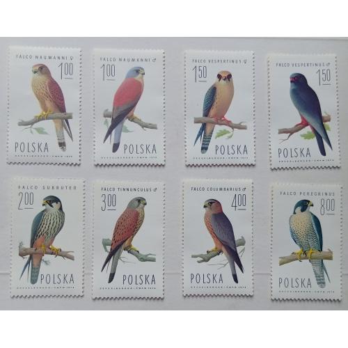 Польша 1975 Соколы, птицы, MNH (КЦ=7 евро)