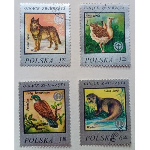 Польша 1977 Животные, фауна, гашеные(I)