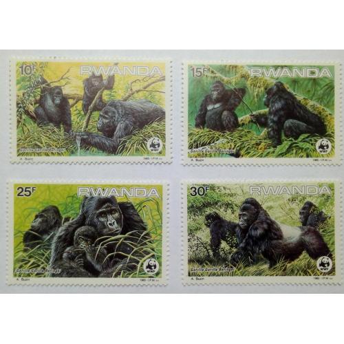 Руанда 1985 Гориллы, приматы, MNH (КЦ = 29 евро)