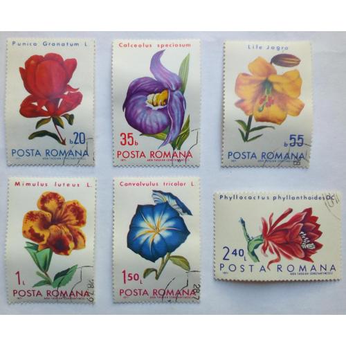 Румыния 1971 Цветы, гашеные