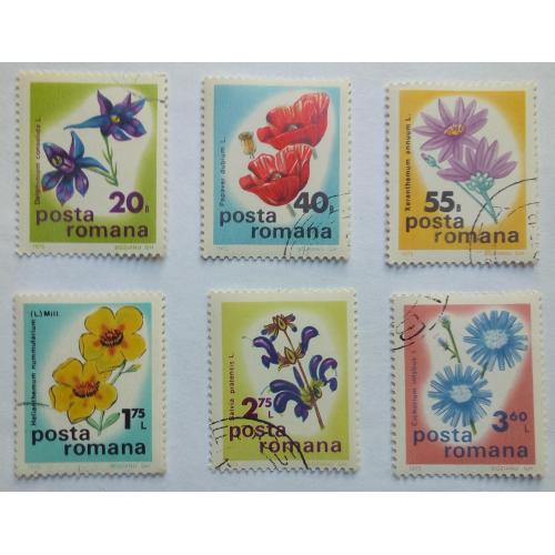 Румыния 1975 Цветы, гашеные