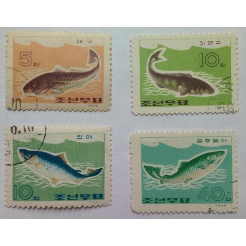 Северная Корея 1966 Рыбы, гашеные
