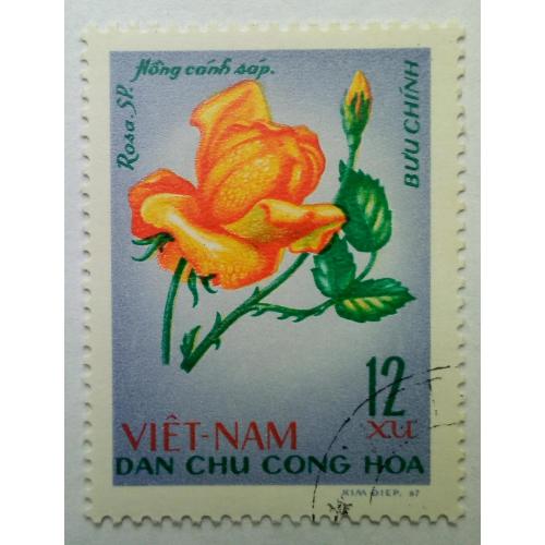 Северный Вьетнам 1968 Розы, цветы, гашеная