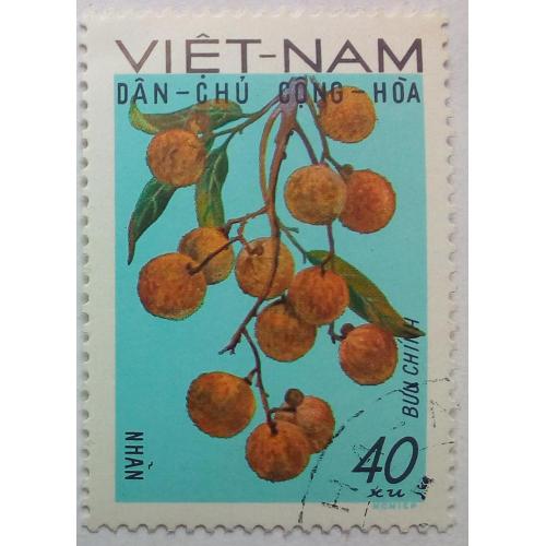 Северный Вьетнам 1969 Личи синенсис, фрукты, гашеная