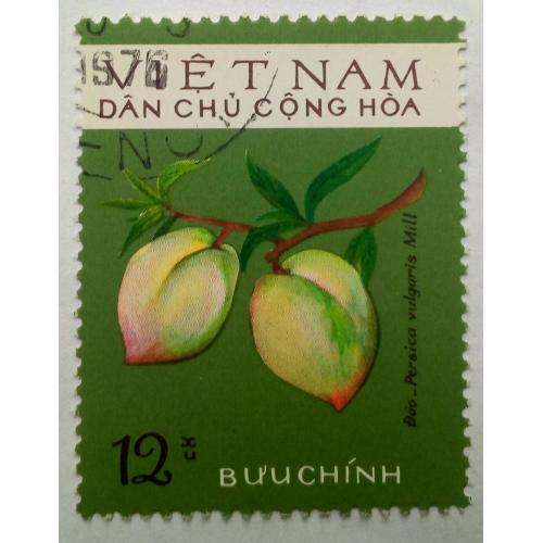 Северный Вьетнам 1975 Персики, фрукты, гашеная