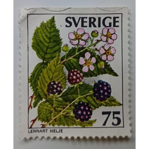 Швеция 1977 Ягоды, 75ORE, гашеная