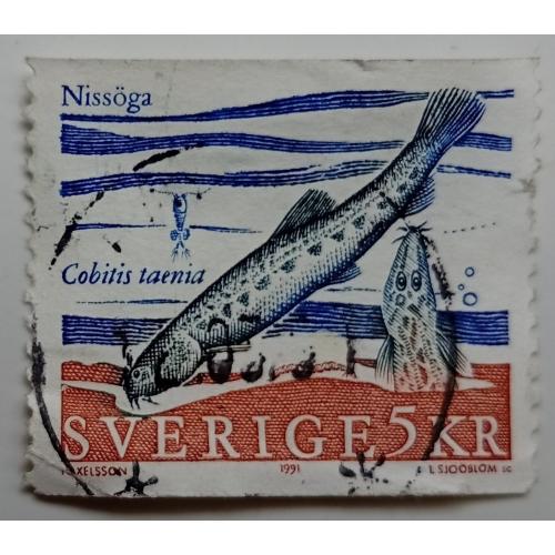Швеция 1991 Рыбы, 5,00, гашеная