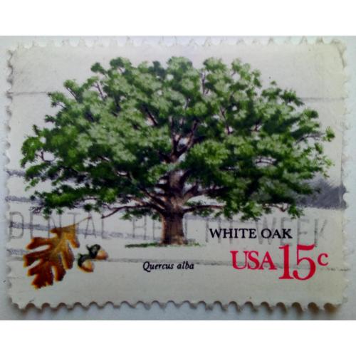 США 1978 Американские деревья, Уайт Оак, гашеная
