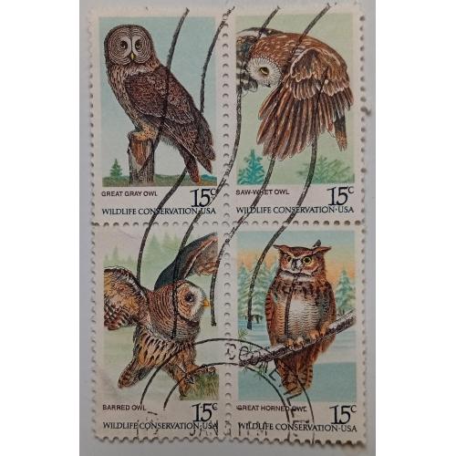 США 1978 Совы, квартблок, гашеный