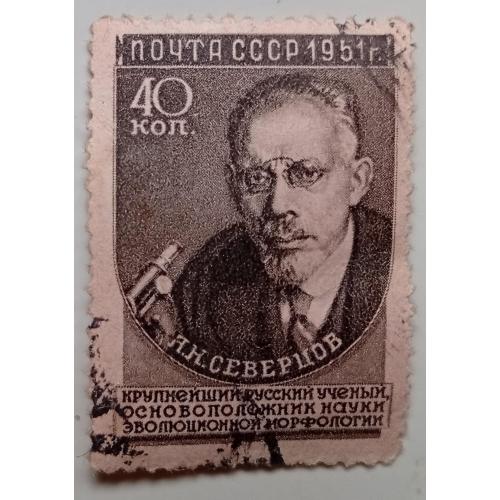 СССР 1951 Северцов, гашеная