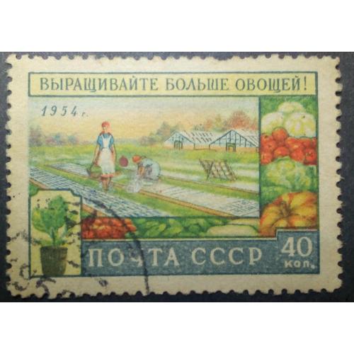 СССР 1954 Агрокультура, гашеная