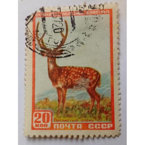 СССР 1957 Пятнистый олень, гашеная