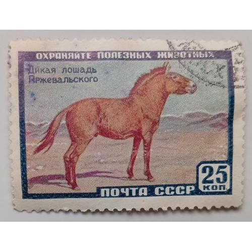 СССР 1959 Лошадь Пржевальского, гашеная