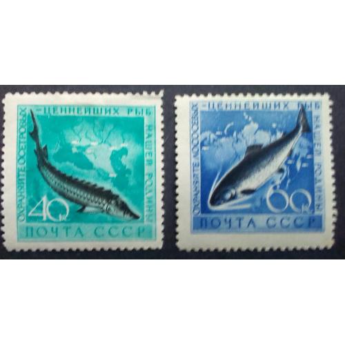 СССР 1959 Морская фауна, рыбы, чистые