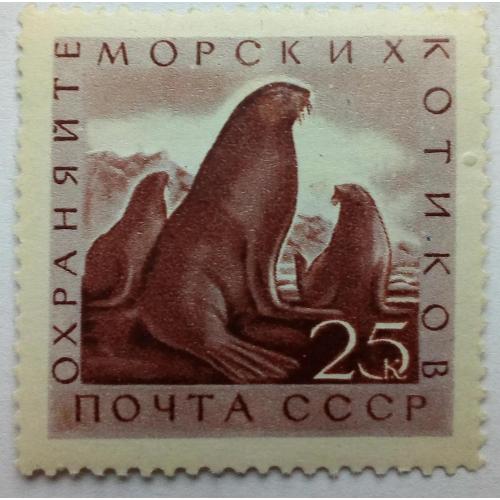СССР 1960 Морская фауна, котики, MLH