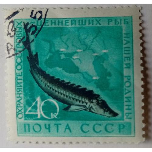 СССР 1960 Судак, гашеная
