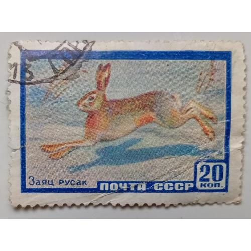 СССР 1960 Заяц русак, гашеная