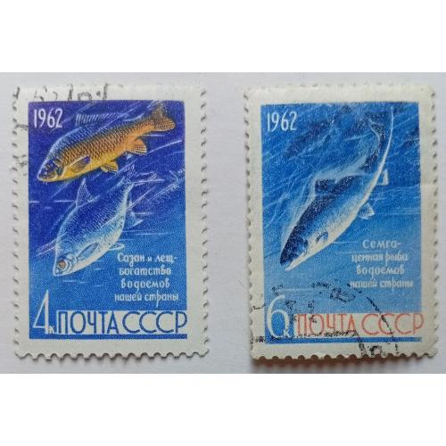 СССР 1962 Рыбы, гашеные