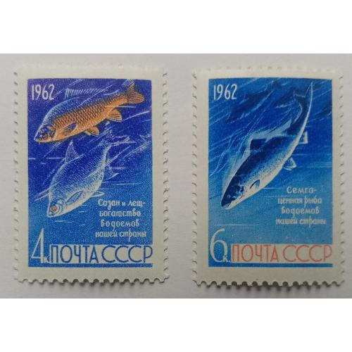 СССР 1962 Рыбы, MNH