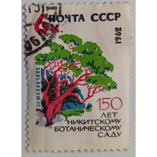 СССР 1962 Земляничное дерево, гашеная