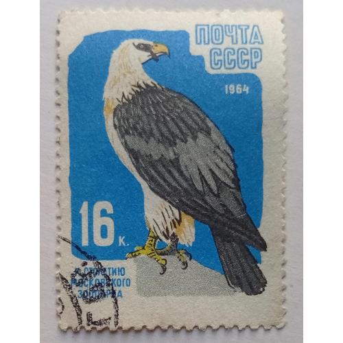 СССР 1964 Бородач, ястреб, гашеная