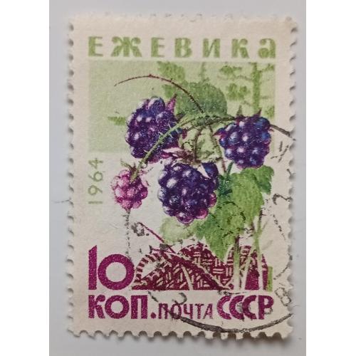 СССР 1964 Ежевика, гашеная