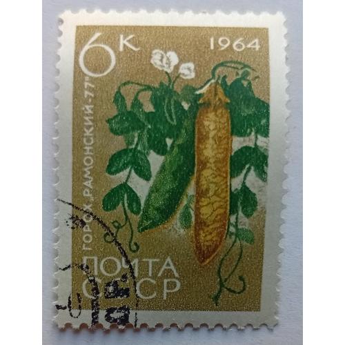 СССР 1964 Горох, гашеная
