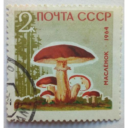 СССР 1964 Грибы, масленок, гашеная
