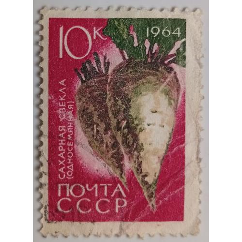 СССР 1964 Сахарная свекла, гашеная