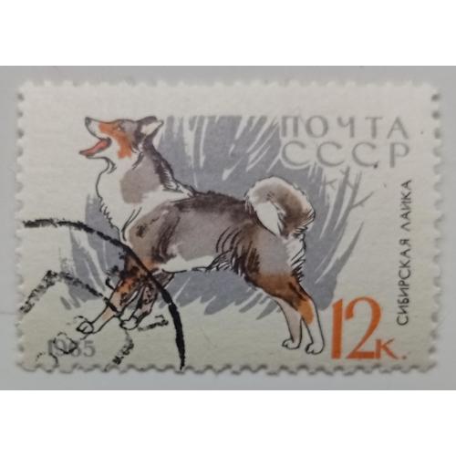СССР 1965 Сибирская лайка, гашеная   