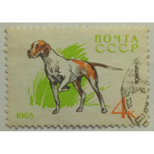 СССР 1965 Служебные и охотничьи собаки, 4к., гашеная(I)